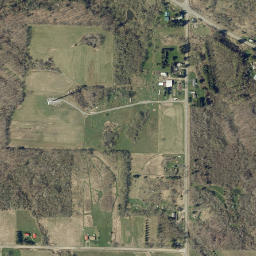 Arkwright New York High Resolution Satellite Map