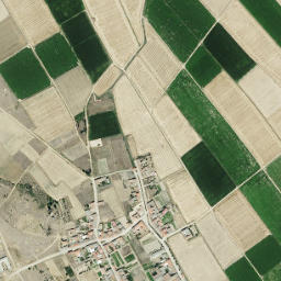 Riego de la Vega map(satellite map)