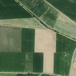 San Pedro Bercianos map(satellite map)