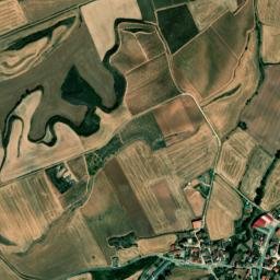 Cañas map(satellite map)