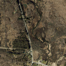 Birdsall New York High Resolution Satellite Map