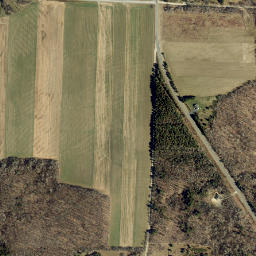 Jobs Corner New York High Resolution Satellite Map