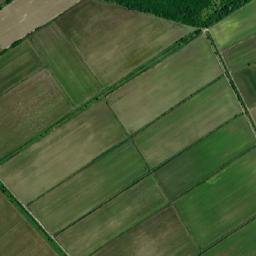 Obshtina Kaloyanovo map(satellite map)