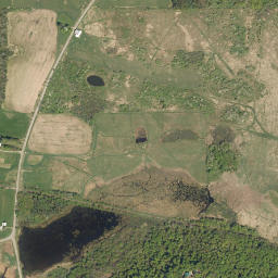 Persia New York High Resolution Satellite Map