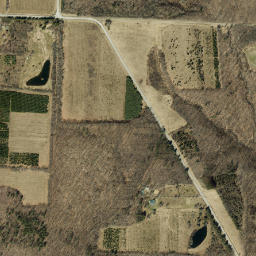 North Almond New York High Resolution Satellite Map