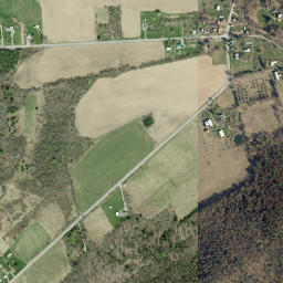 Cayutaville New York High Resolution Satellite Map