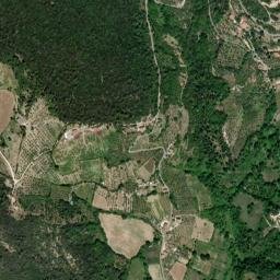 Vacone map(satellite map)