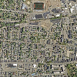 Waltham map(satellite map)