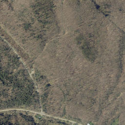 Griswold New York High Resolution Satellite Map