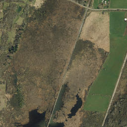 Bird New York High Resolution Satellite Map