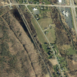 Webbs Crossing New York High Resolution Satellite Map