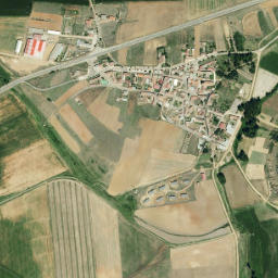 Vallecillo map(satellite map)