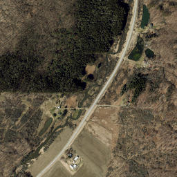 Scholes New York High Resolution Satellite Map