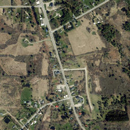 Danby New York High Resolution Satellite Map