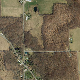 Caroline Center New York High Resolution Satellite Map