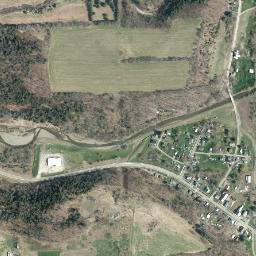 Lisle New York High Resolution Satellite Map