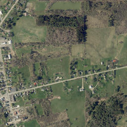 Cassadaga New York High Resolution Satellite Map