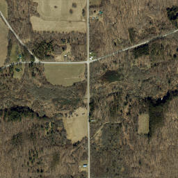 Bellville New York High Resolution Satellite Map