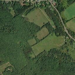 Treadwell New York High Resolution Satellite Map