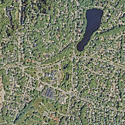 Newton map(satellite map)