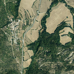 Palo map(satellite map)