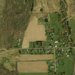 Cadiz New York High Resolution Satellite Map