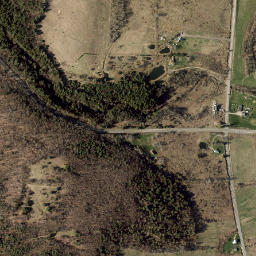 West Bainbridge New York High Resolution Satellite Map