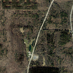 South Danby New York High Resolution Satellite Map