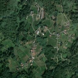 Castrelo de Miño map(satellite map)