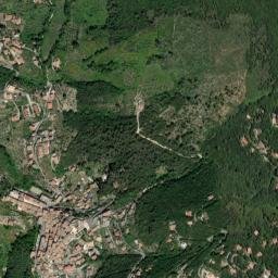 Poggio Catino map(satellite map)