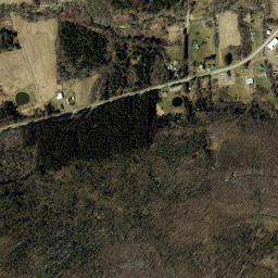 West Almond New York High Resolution Satellite Map