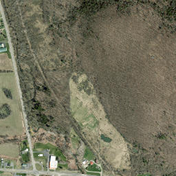 Alpine Junction New York High Resolution Satellite Map