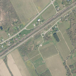 Forsyth New York High Resolution Satellite Map