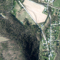 Willseyville New York High Resolution Satellite Map