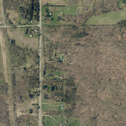 Moons New York High Resolution Satellite Map