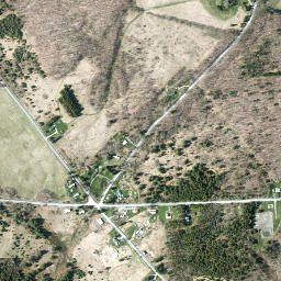 Ketchumville New York High Resolution Satellite Map