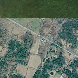 North Lexington New York High Resolution Satellite Map