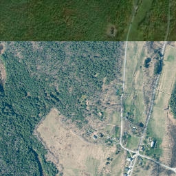 Jewett New York High Resolution Satellite Map