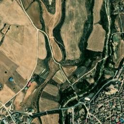 Biota map(satellite map)