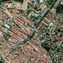 Roses map(satellite map)