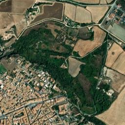 Tarquinia map(satellite map)