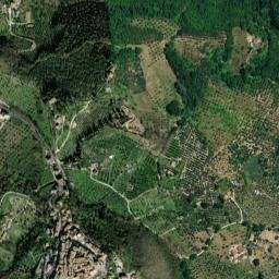 Montopoli in Sabina map(satellite map)