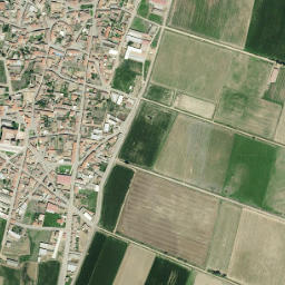 Toral de los Guzmanes map(satellite map)