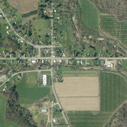 Ellington New York High Resolution Satellite Map