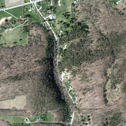 West Candor New York High Resolution Satellite Map