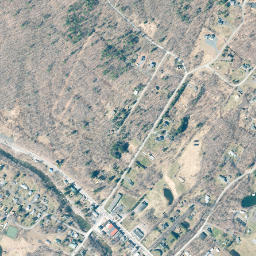 Hunter New York High Resolution Satellite Map