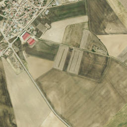 Saelices de Mayorga map(satellite map)