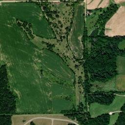 13652 W Owls Rd Pearl City IL 61062 High Resolution Satellite Map