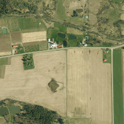 Willoughby New York High Resolution Satellite Map