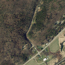 Ferenbaugh New York High Resolution Satellite Map